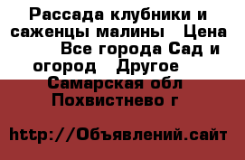 Рассада клубники и саженцы малины › Цена ­ 10 - Все города Сад и огород » Другое   . Самарская обл.,Похвистнево г.